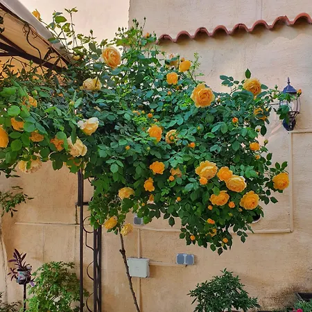 Къща за гости къща гурков