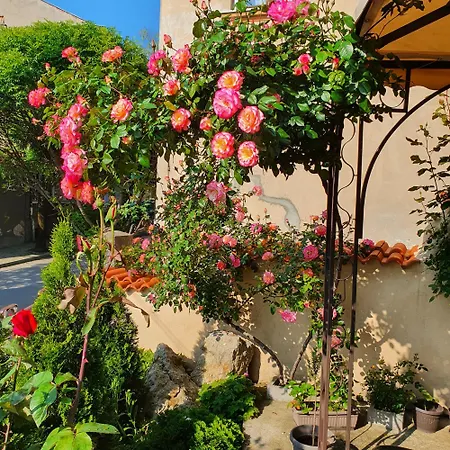 Gurkov Veliko Tarnovo