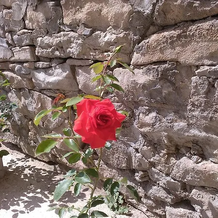 къща гурков